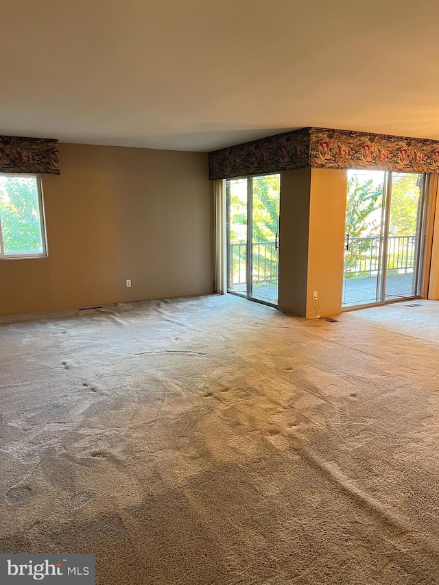 carpeted empty room featuring plenty of natural light