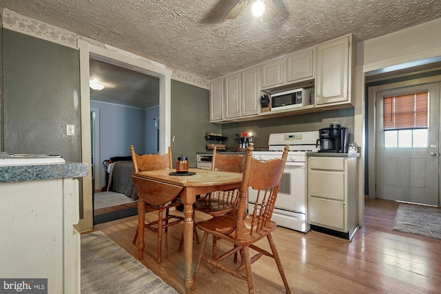 kitchen featuring ceiling fan, a textured ceiling, cream cabinetry, white stove, and light wood-type flooring