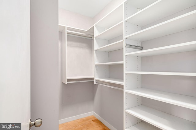 spacious closet with light hardwood / wood-style flooring