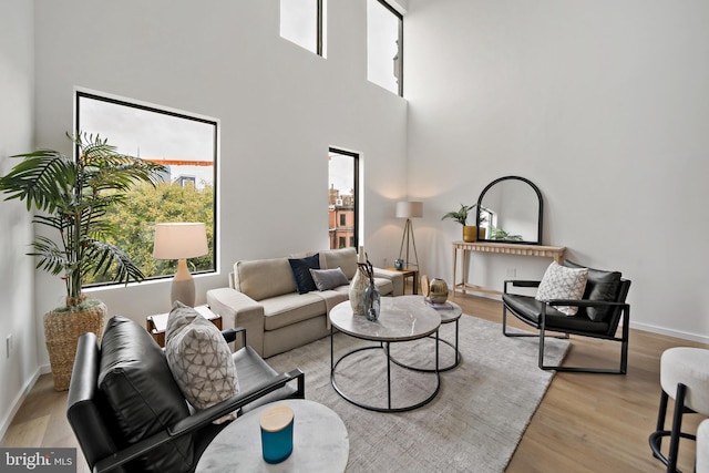 living room featuring a towering ceiling and light hardwood / wood-style flooring