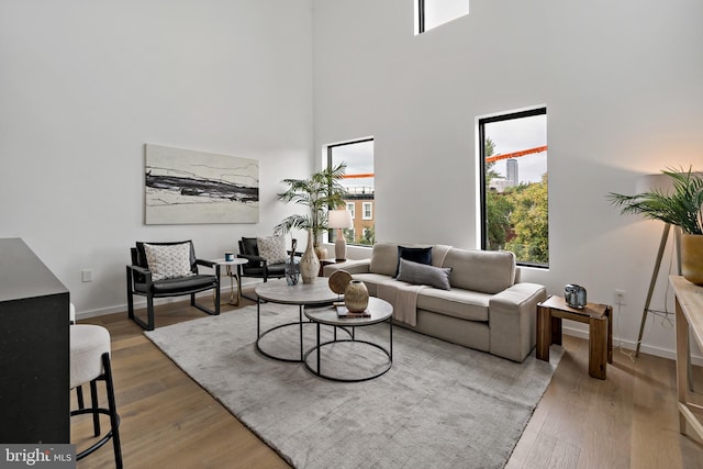 living room featuring hardwood / wood-style floors and a towering ceiling