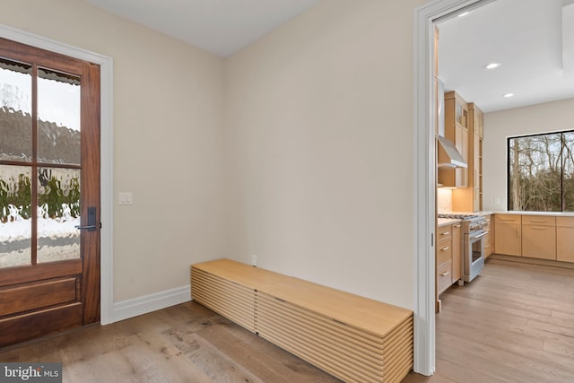 mudroom with light hardwood / wood-style flooring