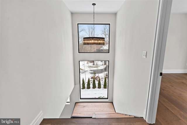 foyer with dark wood-type flooring and a chandelier