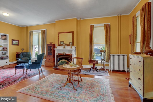 144 W Main St, Waynesboro, PA 17268 - living area with radiator, wood finished floors, ornamental molding, and a fireplace