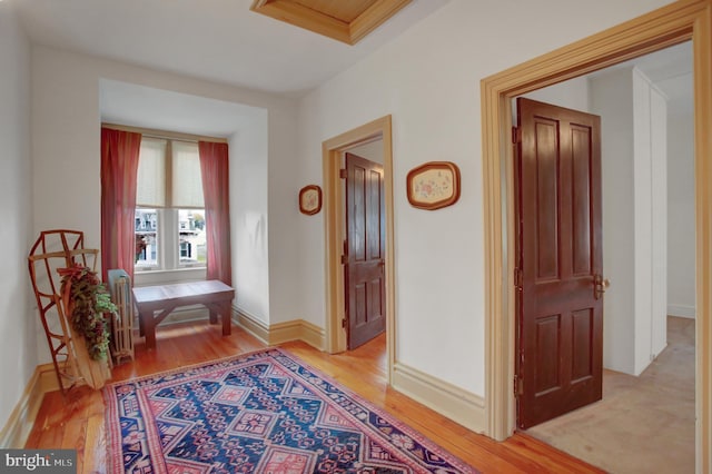 144 W Main St, Waynesboro, PA 17268 - corridor with light wood finished floors, radiator heating unit, and baseboards