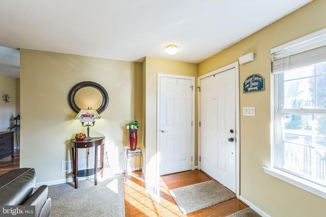 foyer entrance featuring hardwood / wood-style floors