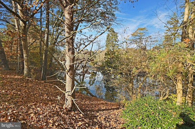 view of local wilderness with a water view