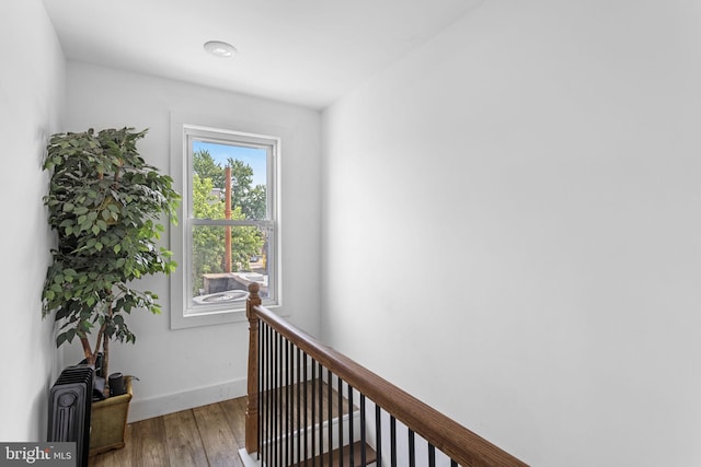 hallway featuring hardwood / wood-style floors