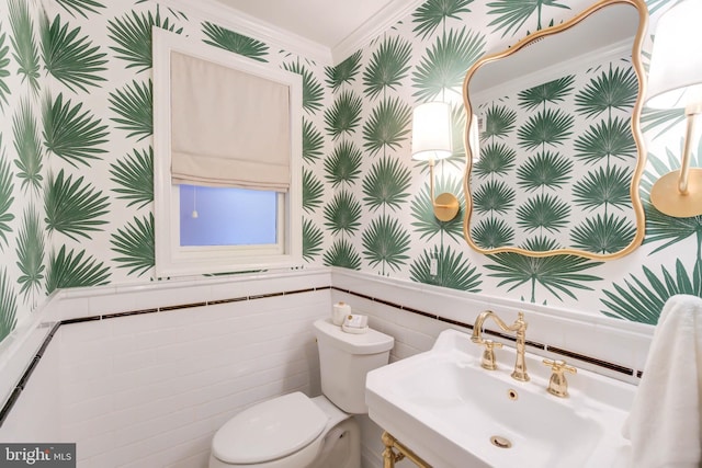 bathroom featuring toilet, sink, and ornamental molding