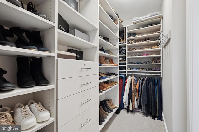 walk in closet with carpet floors