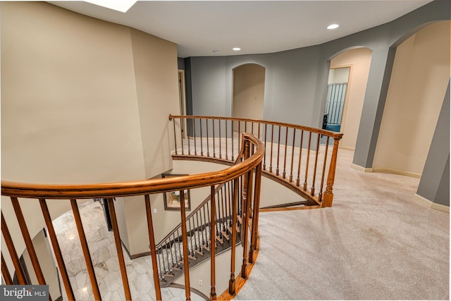 staircase with carpet flooring