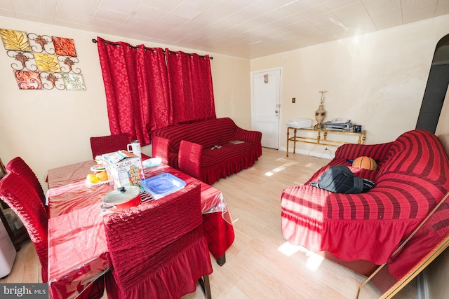 living room featuring light hardwood / wood-style floors