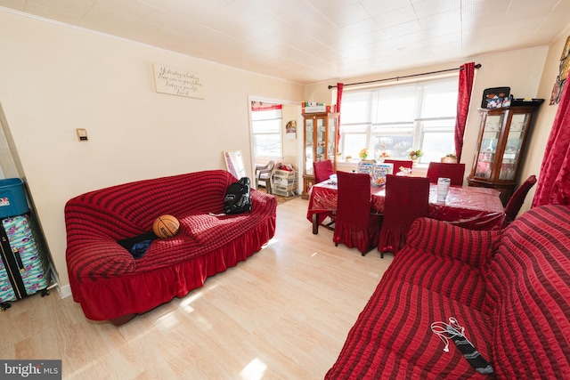 living room with light wood-type flooring