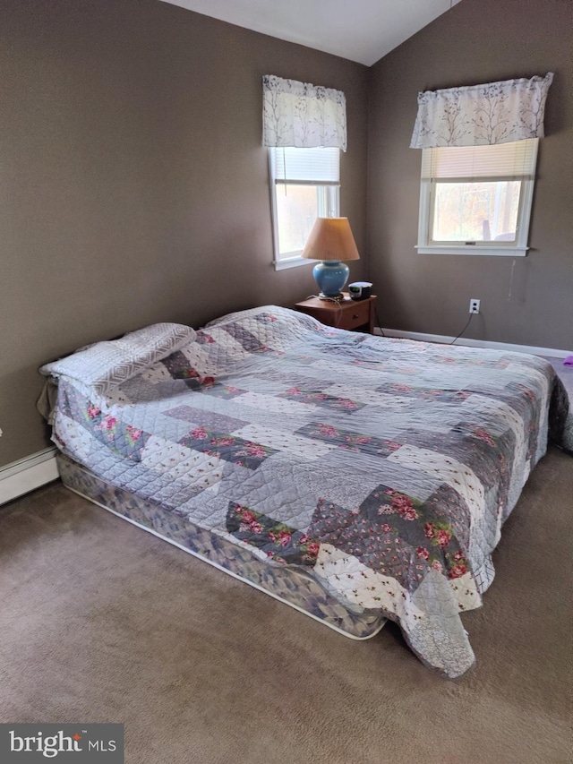 carpeted bedroom with multiple windows