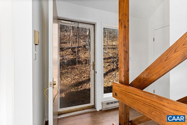 entryway featuring dark wood-type flooring