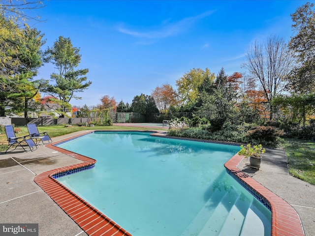 view of pool featuring a patio