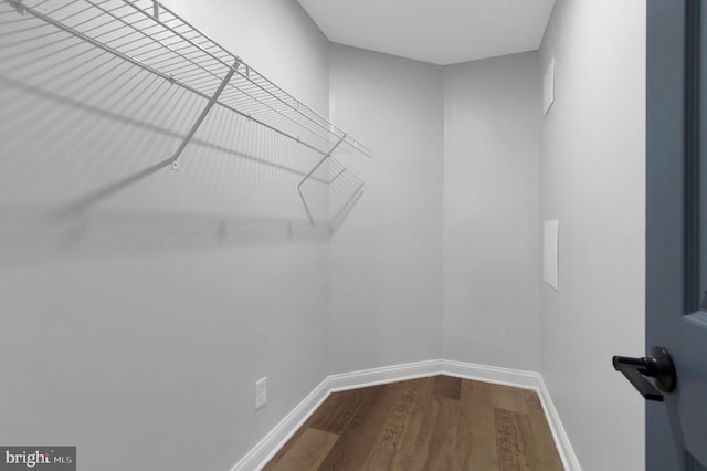 spacious closet with hardwood / wood-style flooring