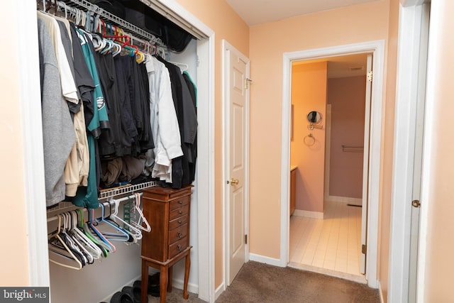 view of closet