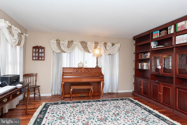 living area with dark hardwood / wood-style flooring