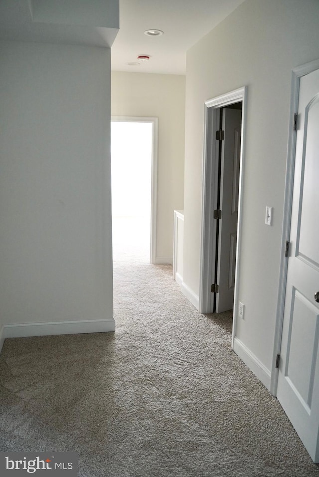 hall featuring carpet flooring