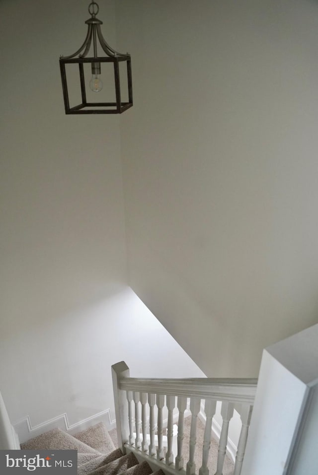 staircase with carpet flooring