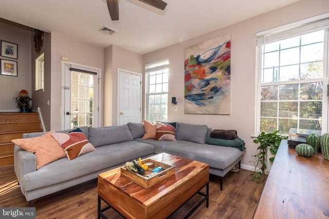 living room with ceiling fan and dark wood-type flooring