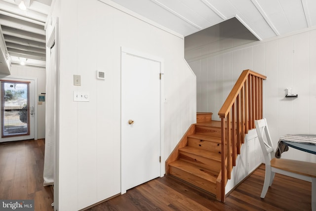 stairway with wood-type flooring and wooden walls