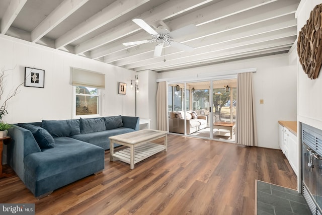 living room with a healthy amount of sunlight, dark hardwood / wood-style floors, beam ceiling, and ceiling fan