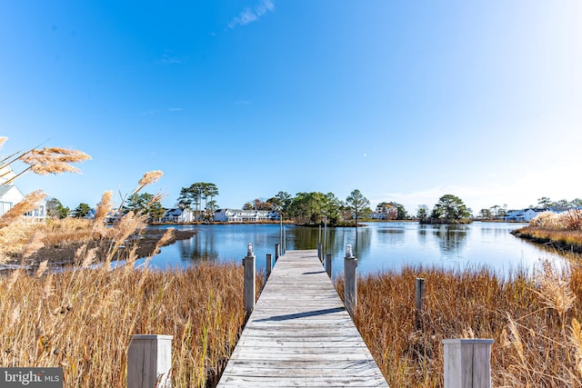 dock area with a water view