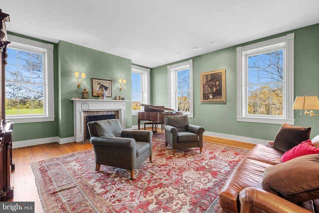 living room with a fireplace, light hardwood / wood-style flooring, and plenty of natural light