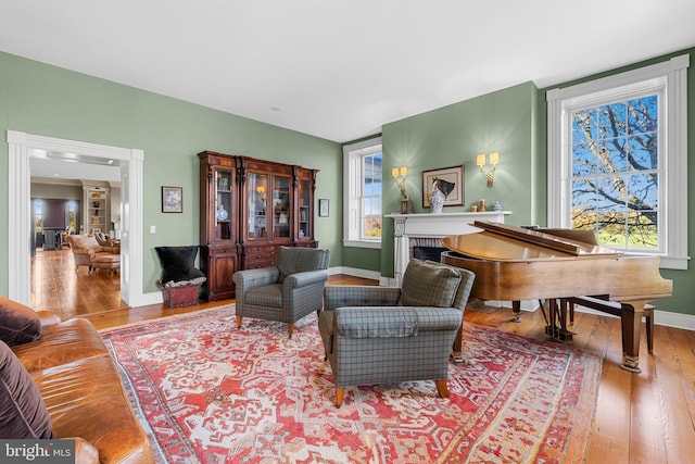 living room featuring hardwood / wood-style floors and a fireplace