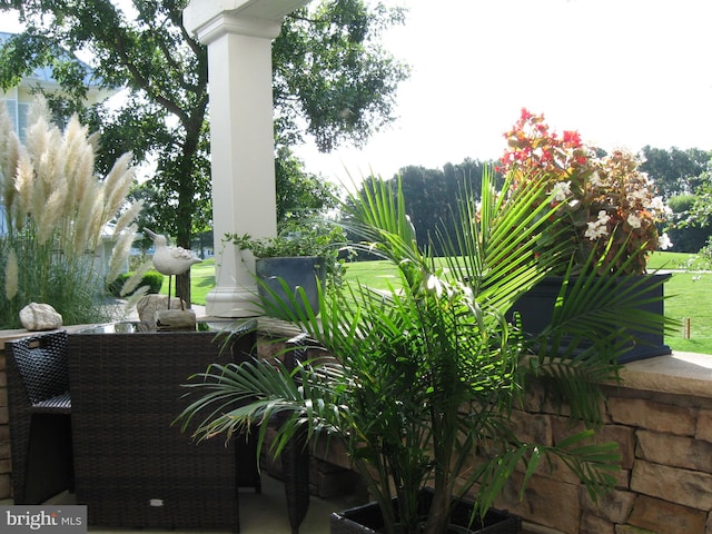 view of patio