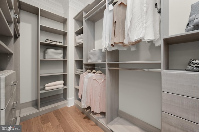 walk in closet featuring light hardwood / wood-style floors