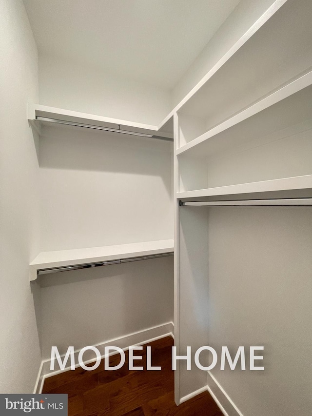 walk in closet featuring dark hardwood / wood-style flooring