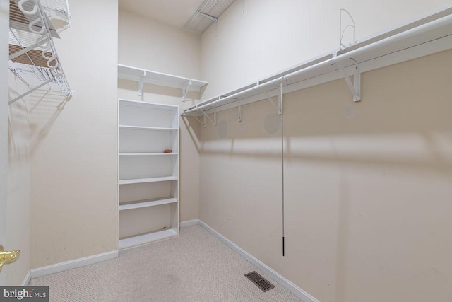 walk in closet with light colored carpet