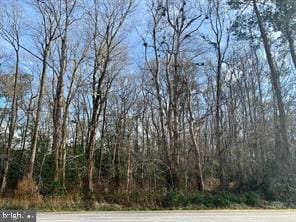 0 Bypass Rd, Pocomoke City MD, 21851 land for sale