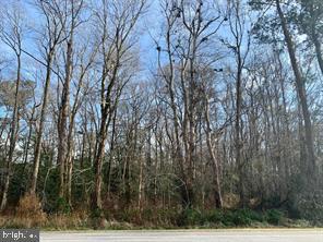 0 Bypass Rd, Pocomoke City, MD 21851