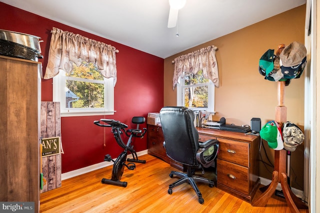 office space with hardwood / wood-style floors and ceiling fan