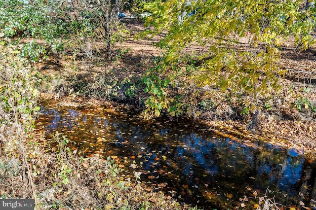 view of local wilderness featuring a water view