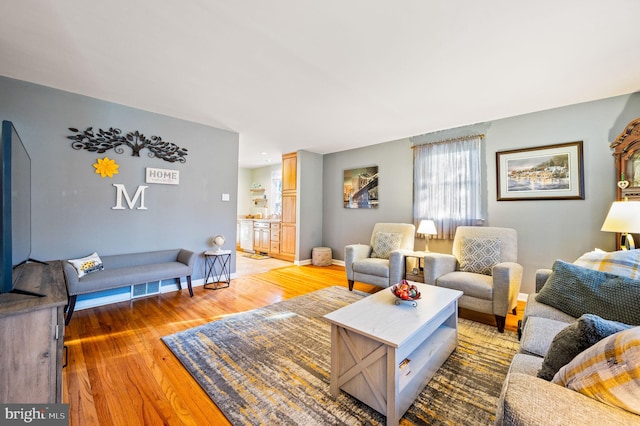 living room with hardwood / wood-style flooring