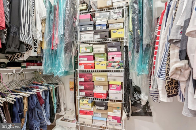 view of spacious closet