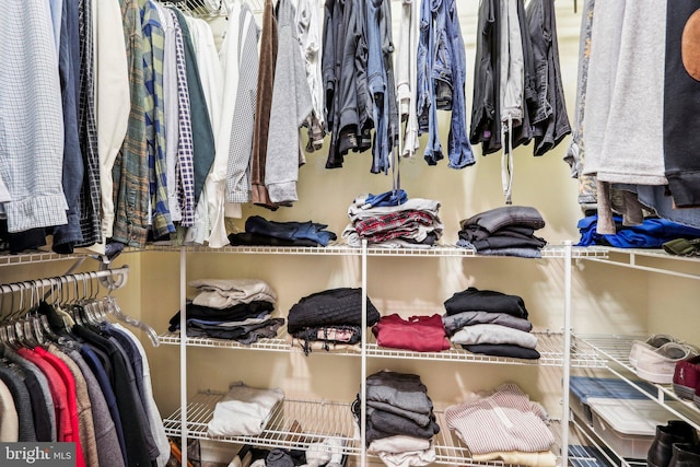 view of walk in closet