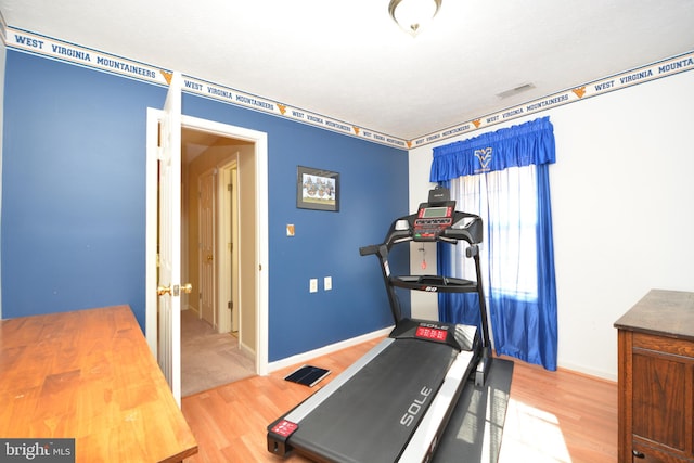 workout room featuring hardwood / wood-style floors