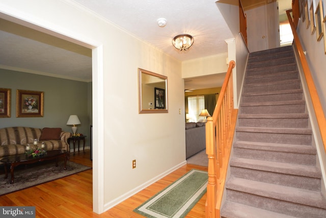 stairs featuring wood-type flooring and crown molding