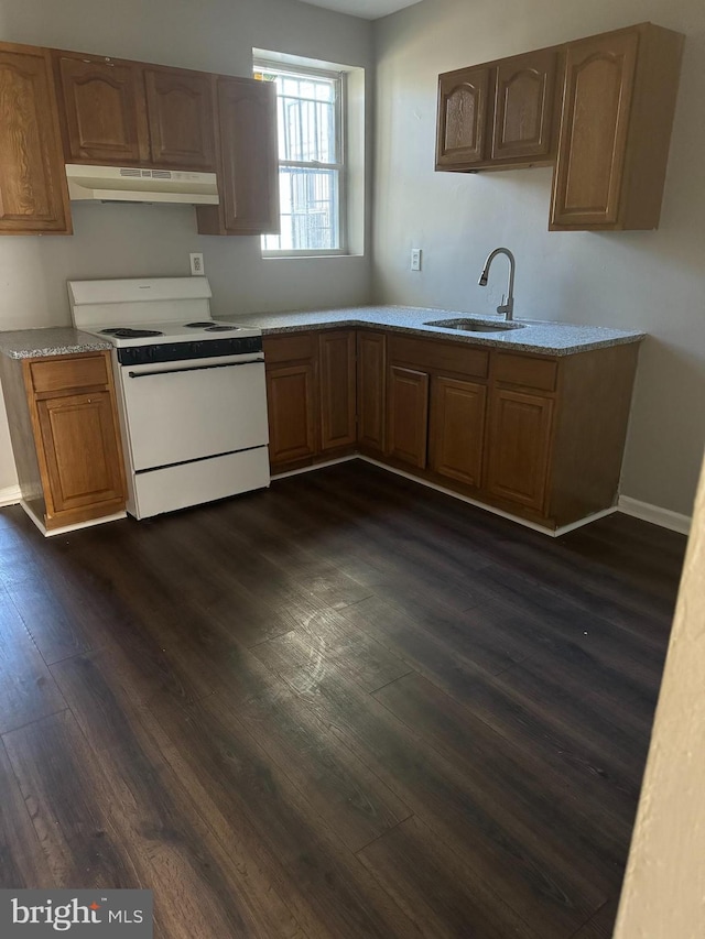 kitchen featuring dark hardwood / wood-style flooring, sink, and white stove