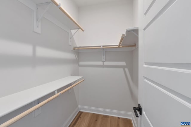 spacious closet featuring hardwood / wood-style floors