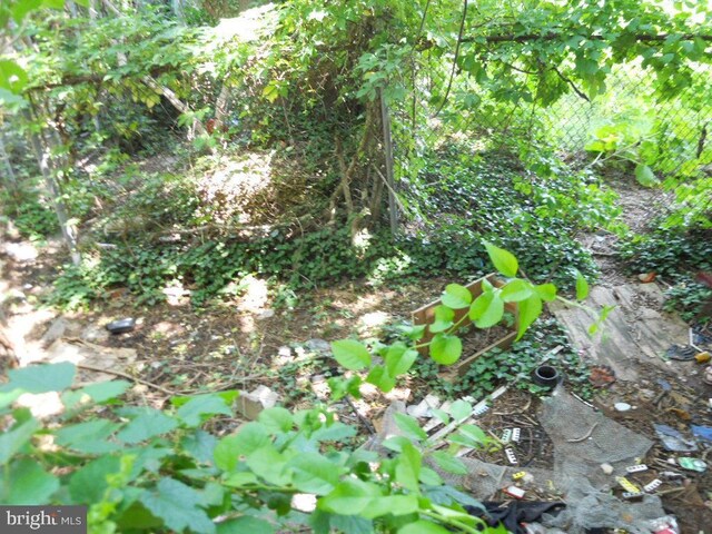 2440 N Corlies St, Philadelphia, PA 19132 - view of nature