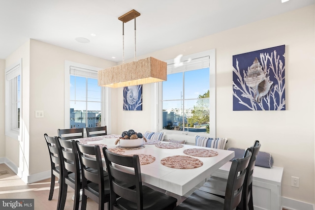 dining room with a wealth of natural light