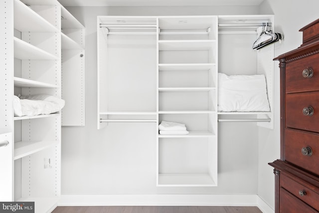 spacious closet featuring light hardwood / wood-style floors