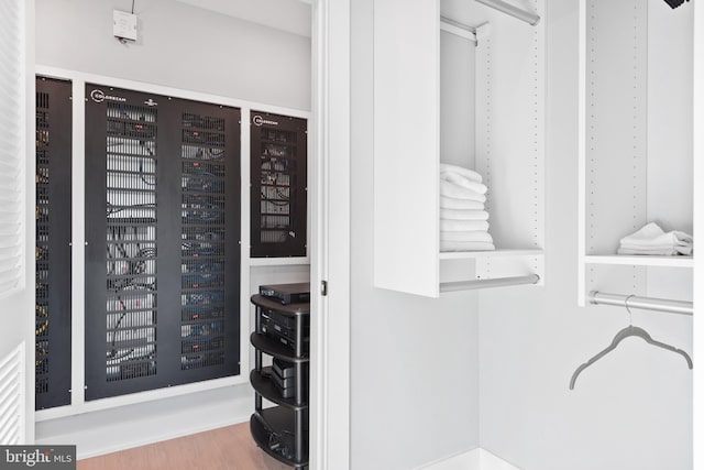 spacious closet with hardwood / wood-style floors